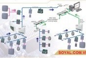 Giải pháp quản lý dữ liệu đa chi nhánh của Soyal