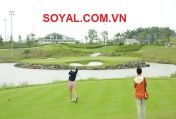 Gói kiểm soát Soyal nào phù hợp với nhu cầu và chi phí của bạn?